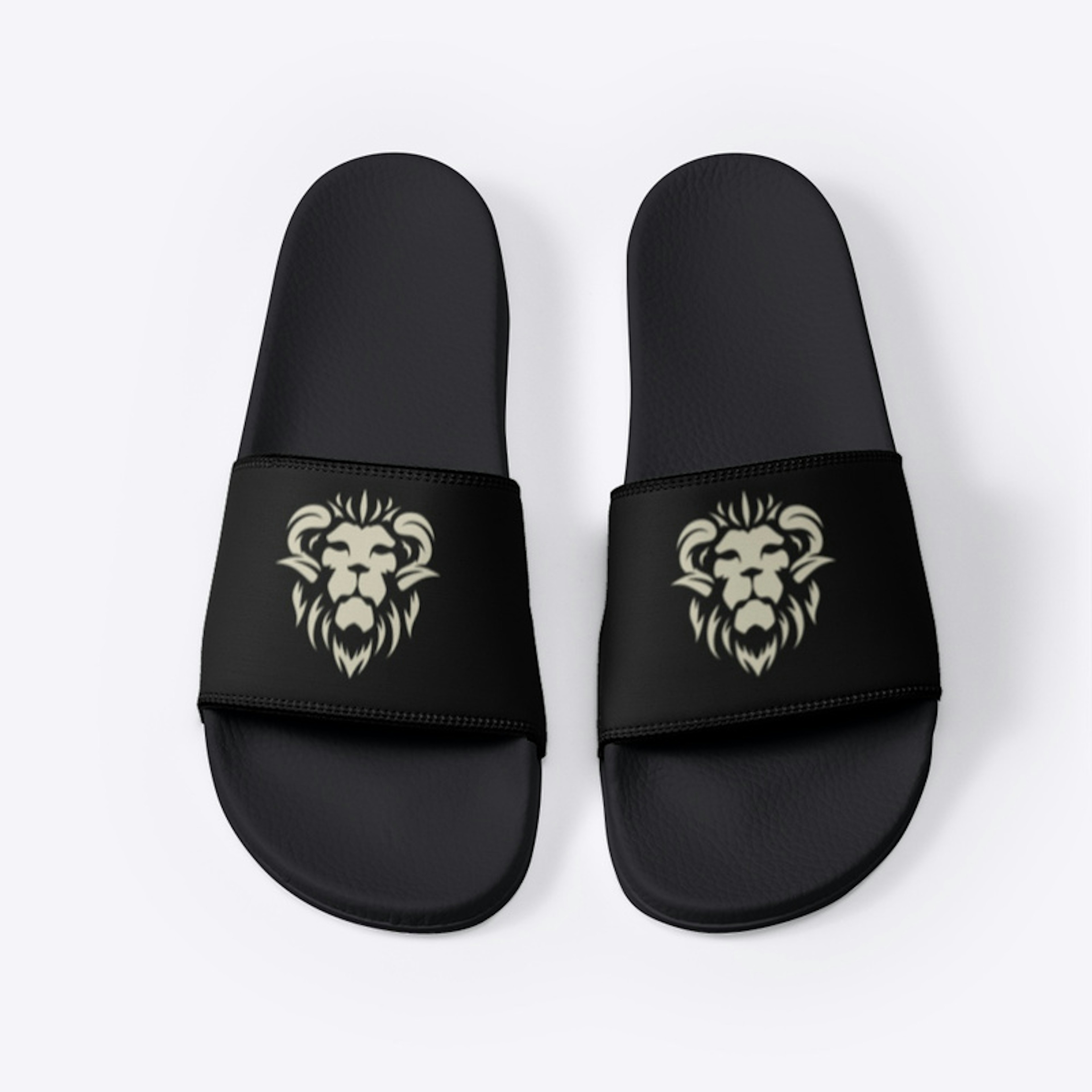 JB Lion Slides